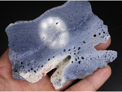 Коралл голубой Акори, Австралия (95*71*12 мм, 123 г) №37717