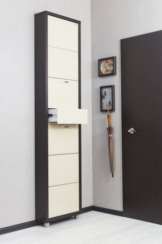 Обувница Айрон-6 Плюс (фасад стекло Капучино)