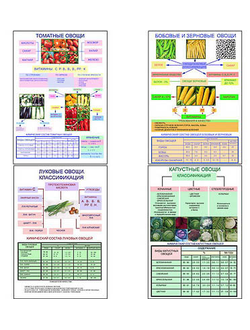 Плакаты ПРОФТЕХ "Классификация овощей" (11 пл, винил, 70х100)