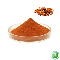 Шалфей краснокорневищный - salvia miltiorrhiza, 250гр.