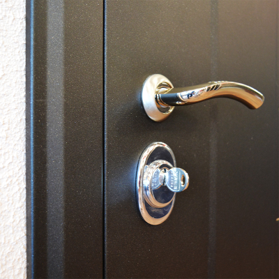 Стальная дверь   Агата 3. Заказная модель.