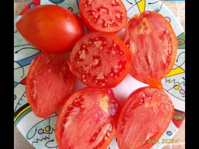 Томат Минусинские стаканы красные