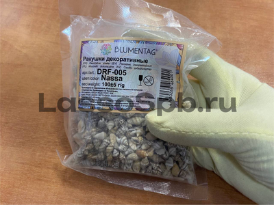 Ракушки морские мелкие 0.6 - 1.2 см Nassa 100 г