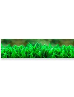 Фартук АБС Сочная трава 3,0м*0,6м