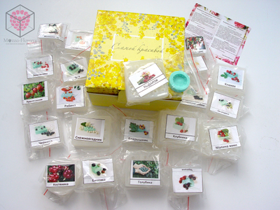 Набор молдов "Ягоды"