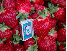 Клубника Азия  ЗКС