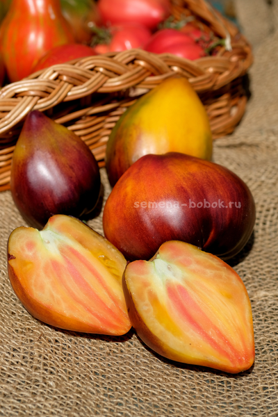 Томат Ананасный Сержант, 10 шт