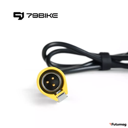 Зарядное устройство 79Bike