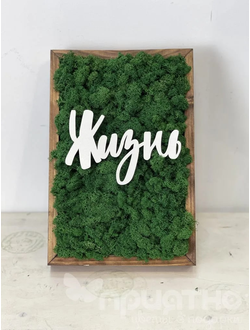 ЖИВАЯ ЭКО-КАРТИНА 1051