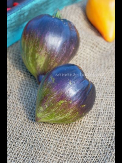 Томат Изумрудная Парча, 10 шт