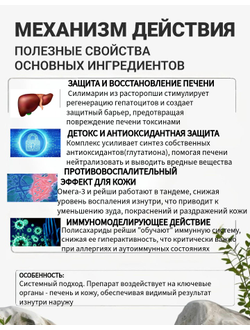 Кормовая добавка для собак и кошек: Масло лосося + масло расторопши + масло рейши, DOBROPET, 100 мл