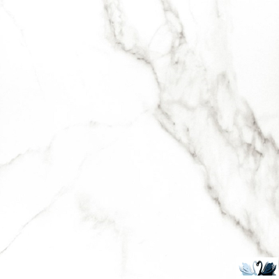 Керамогранит Gracia Ceramica Carrara Premium white PG 01 60 х 60 см мрамор
