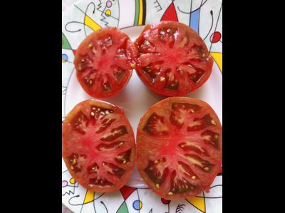 Томат гном Металлика (Dwarf Metallica)