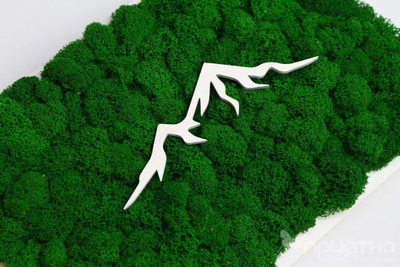 ЖИВАЯ ЭКО-КАРТИНА 1037