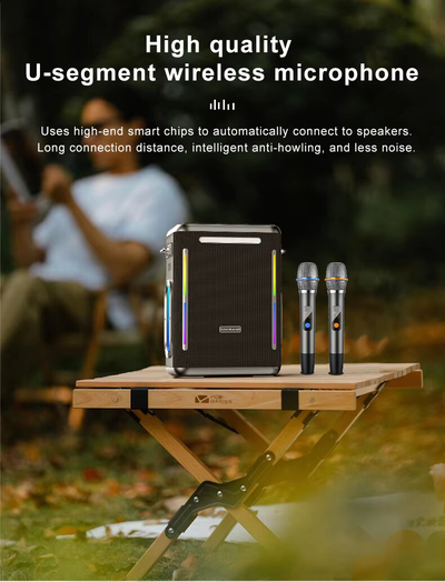 Караоке система с двумя микрофонами Sinoband Party 1981 300W