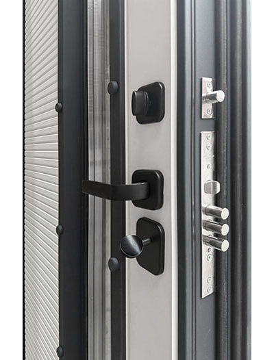 Входная Дверь RX-17 Термо Двери Регионов