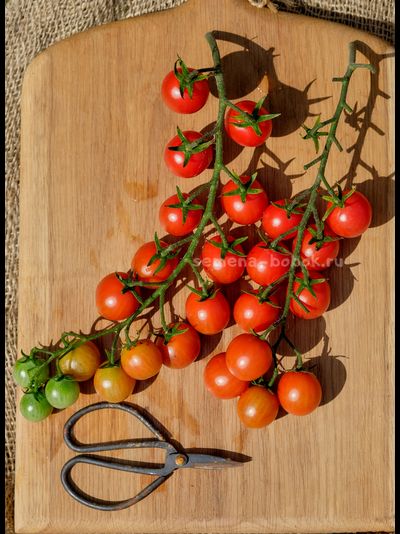 Томат Черри Аннабель, 10 шт