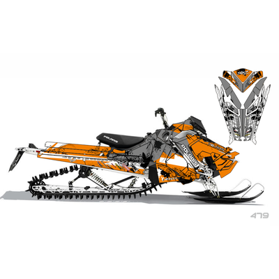 POLARIS RMK 800 [479]