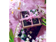 «Весенние цветы» набор пробников