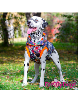 КУРТКА ТИГР СИНЯЯ