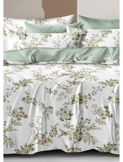 Постельное белье Cleo полутороспальное сатин 145х215х1 150х220х1 70х70х2 15/747-SL