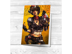 Обложка на паспорт Borderlands, Бордерленд №18