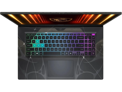 MSI Cyborg 17 B13WEKG-215XRU 17.3'' IPS FHD i7 13620H 16Gb, (SSD)1Tb RTX5050 8Gb Dos Черный