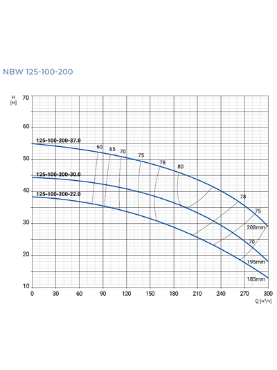 NBW 125-100-200-37.0/2-G