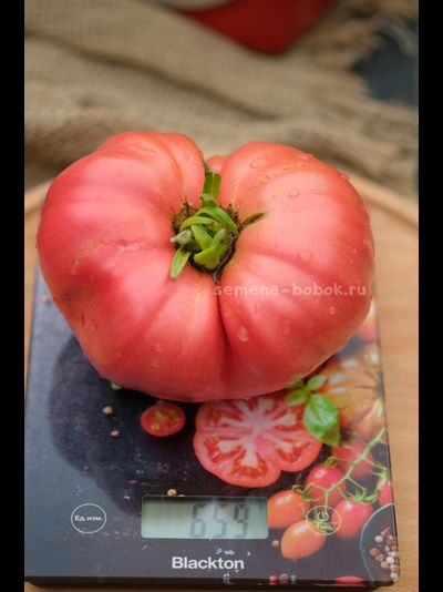 Томат Минусинский Безразмерный, 10 шт