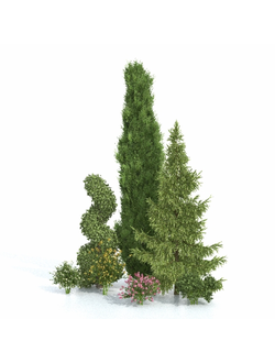 клумбы Альпинарий 2