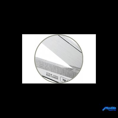 PROFESSIONAL MASTER НОЖНИЦЫ РАЗБОРНЫЕ 21.5 СМ. 25923/088