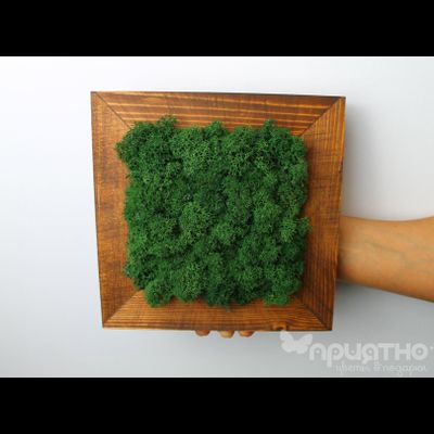 Живая Эко-Картина 1069