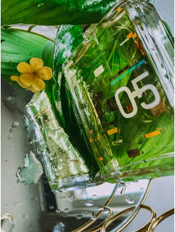 Escentric Molecules Escentric 05