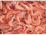 Креветка корол. (сырье) 50/70