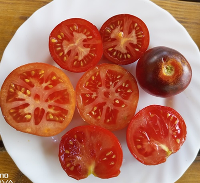 Томат Синее яблоко (Blue Apple)