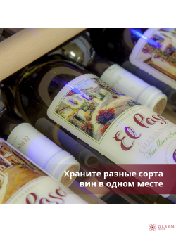 Винный шкаф Cold Vine C38-KSF2