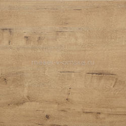 ЛЕС024 Столешница ЛЕ Дуб Бунратти-100Ш