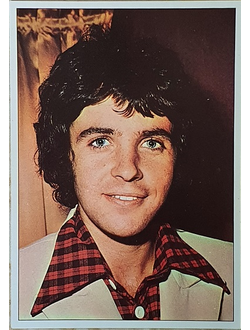 David Essex Музыкальные открытки, Original Music Card, винтажные почтовые открытки, Intpressshop