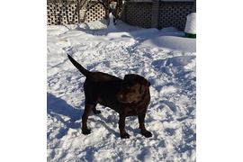 МЭГИ Февраль 2022