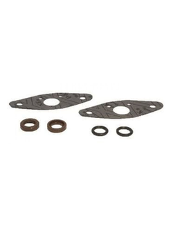 Комплект прокладок RAVE клапана SPI 09-719117 для BRP, Ski Doo, Lynx (420250234, 420250239, 420950730, 420950732)