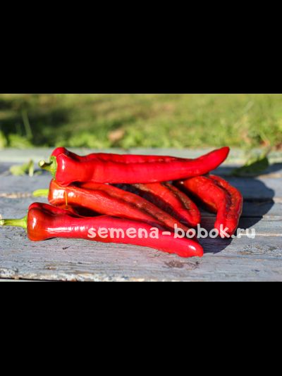 Перец сладкий The Godfather (Крестный Отец), 10 шт