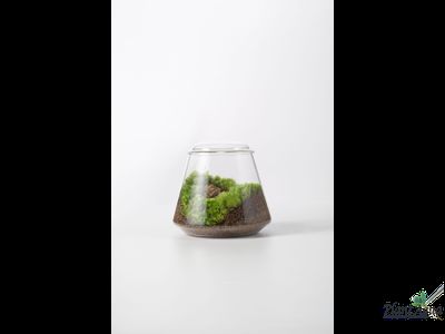 Чаша Пузырь Biolark Two (120мм х 105мм)