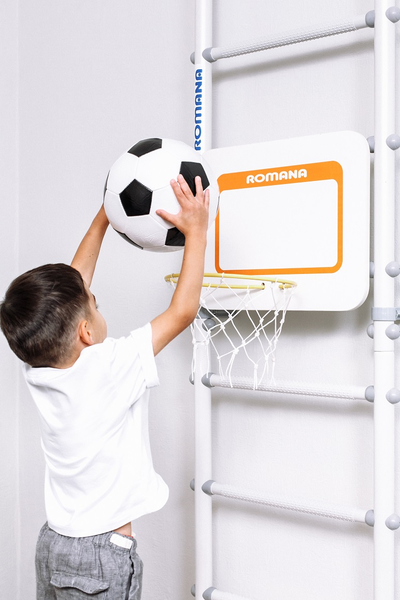 Щит баскетбольный ROMANA в Воронеже