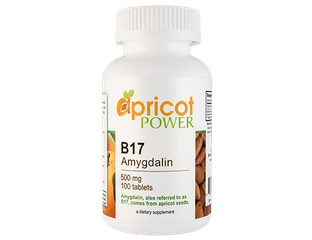 Амигдалин В17 500 мг таблетки - Apricot Power (США)