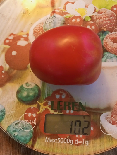 Томат Рио гранде