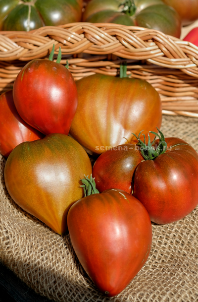 Томат Сердце Линнея (Linnaeus Heart), 10 шт