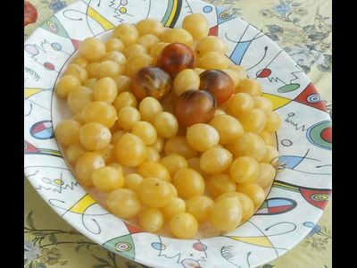 Томат Сумасшедшие вишни Барри (Barry's crazy cherry)