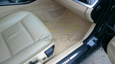 Коврики в салон BMW 5 (F10)
