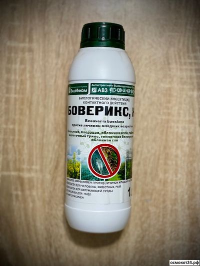 Боверикс, Ж, 1л