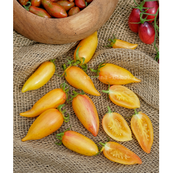 Томат Sweet Cream (Сладкий Крем), 10 шт